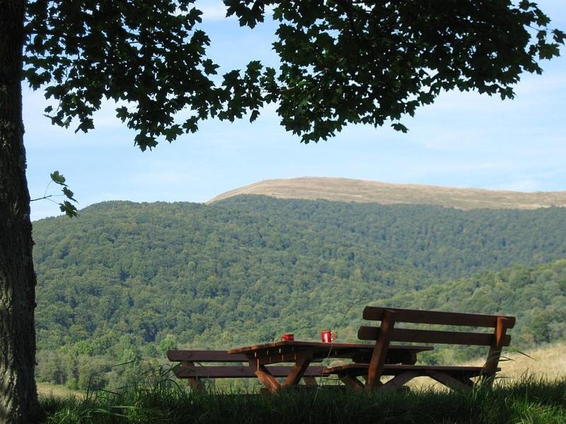 Caloroczne Domki Zacisze Hnatowego Berda W Wetlinie Wetlina Dış mekan fotoğraf