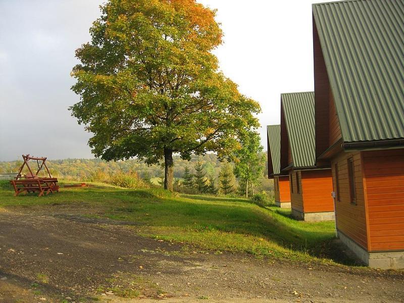 Caloroczne Domki Zacisze Hnatowego Berda W Wetlinie Wetlina Dış mekan fotoğraf